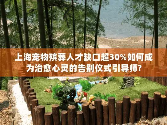 上海宠物殡葬人才缺口超30%如何成为治愈心灵的告别仪式引导师?