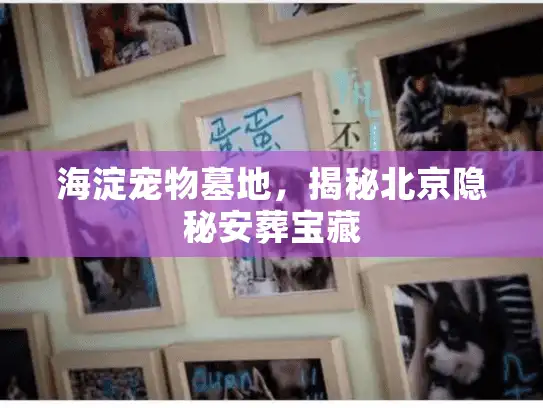 海淀宠物墓地，揭秘北京隐秘安葬宝藏