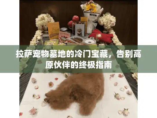 拉萨宠物墓地的冷门宝藏，告别高原伙伴的终极指南