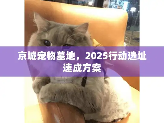 京城宠物墓地，2025行动选址速成方案