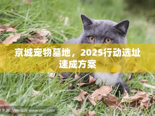 京城宠物墓地，2025行动选址速成方案