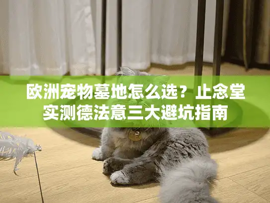 欧洲宠物墓地怎么选？止念堂实测德法意三大避坑指南