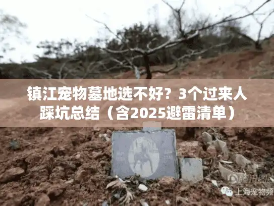 镇江宠物墓地选不好？3个过来人踩坑总结（含2025避雷清单）