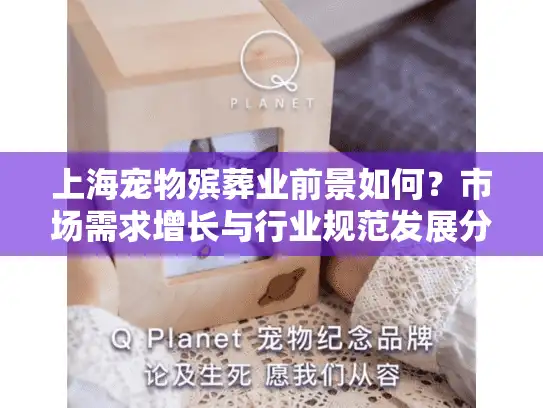 上海宠物殡葬业前景如何？市场需求增长与行业规范发展分析