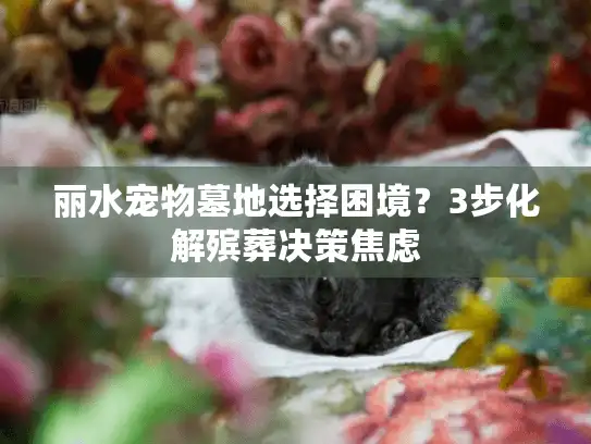 丽水宠物墓地选择困境？3步化解殡葬决策焦虑