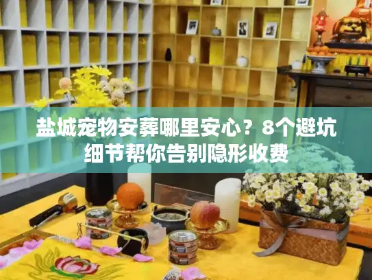 盐城宠物安葬哪里安心？8个避坑细节帮你告别隐形收费