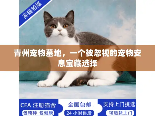 青州宠物墓地，一个被忽视的宠物安息宝藏选择