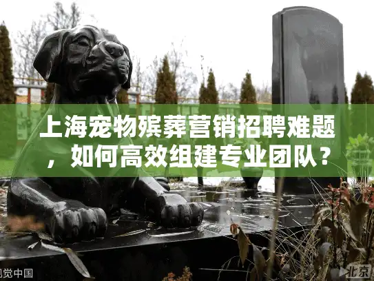 上海宠物殡葬营销招聘难题，如何高效组建专业团队？