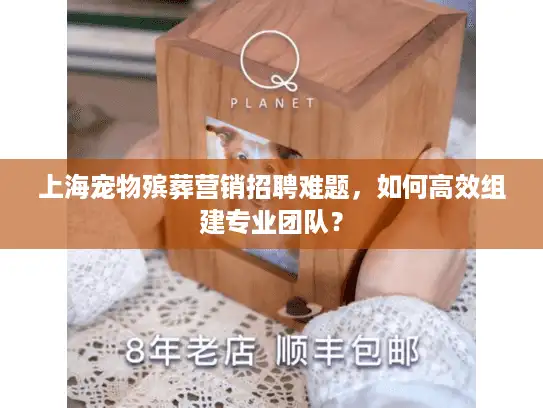 上海宠物殡葬营销招聘难题，如何高效组建专业团队？