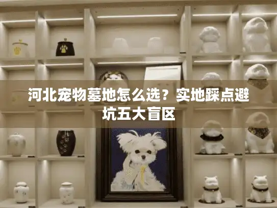 河北宠物墓地怎么选？实地踩点避坑五大盲区