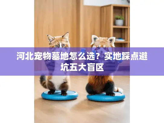 河北宠物墓地怎么选？实地踩点避坑五大盲区