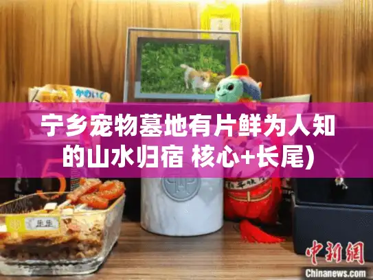 宁乡宠物墓地有片鲜为人知的山水归宿 核心+长尾)