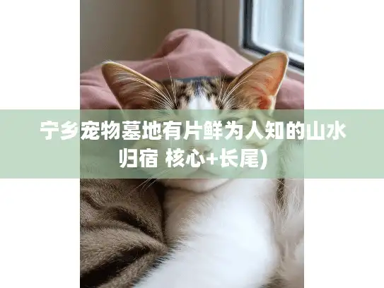 宁乡宠物墓地有片鲜为人知的山水归宿 核心+长尾)