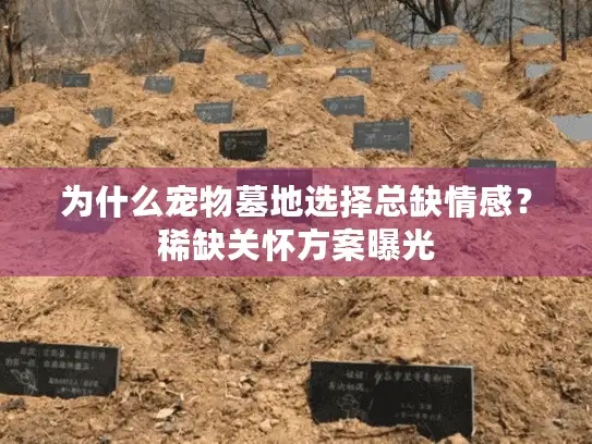 为什么宠物墓地选择总缺情感？稀缺关怀方案曝光