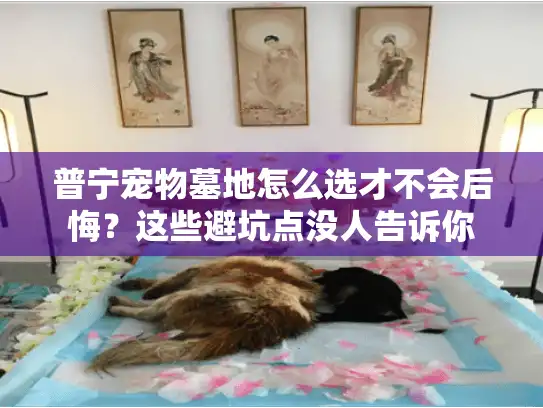 普宁宠物墓地怎么选才不会后悔？这些避坑点没人告诉你