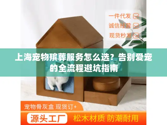 上海宠物殡葬服务怎么选？告别爱宠的全流程避坑指南