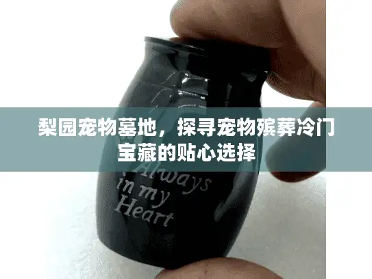 梨园宠物墓地，探寻宠物殡葬冷门宝藏的贴心选择
