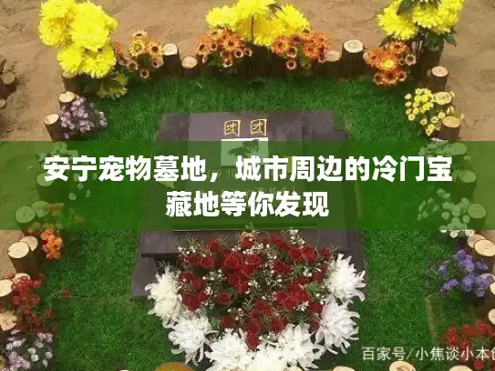安宁宠物墓地，城市周边的冷门宝藏地等你发现