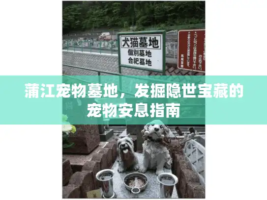 蒲江宠物墓地，发掘隐世宝藏的宠物安息指南