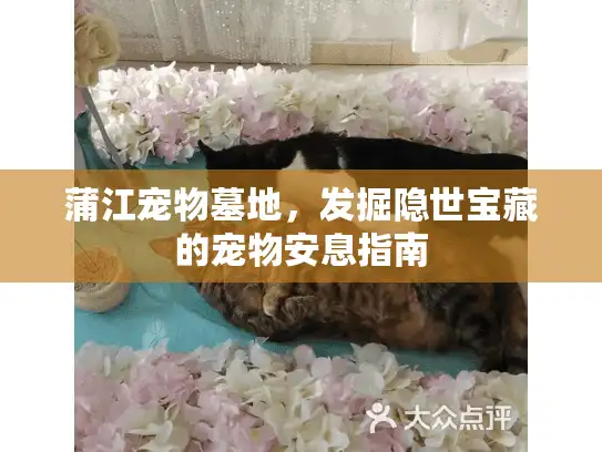 蒲江宠物墓地，发掘隐世宝藏的宠物安息指南