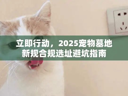 立即行动，2025宠物墓地新规合规选址避坑指南