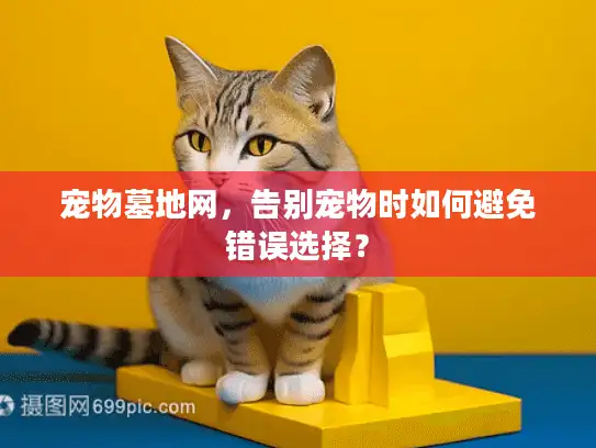 宠物墓地网，告别宠物时如何避免错误选择？