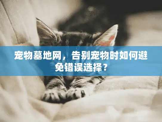 宠物墓地网，告别宠物时如何避免错误选择？