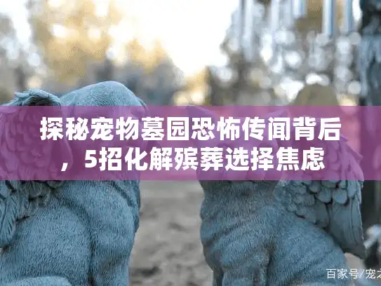 探秘宠物墓园恐怖传闻背后，5招化解殡葬选择焦虑