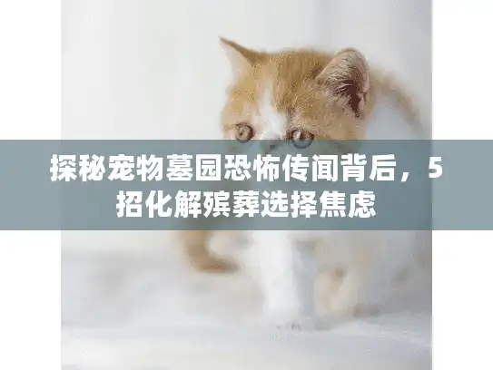 探秘宠物墓园恐怖传闻背后，5招化解殡葬选择焦虑