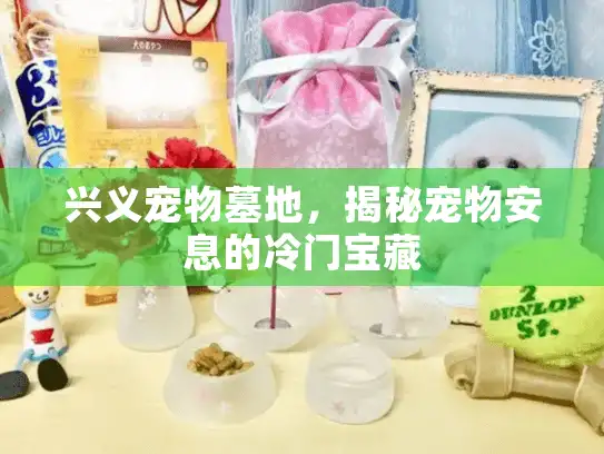 兴义宠物墓地，揭秘宠物安息的冷门宝藏