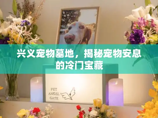 兴义宠物墓地，揭秘宠物安息的冷门宝藏