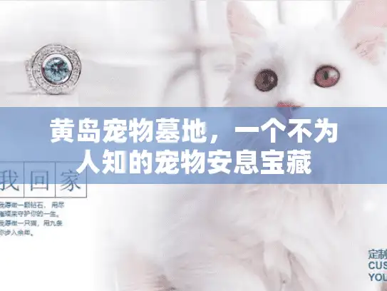 黄岛宠物墓地，一个不为人知的宠物安息宝藏