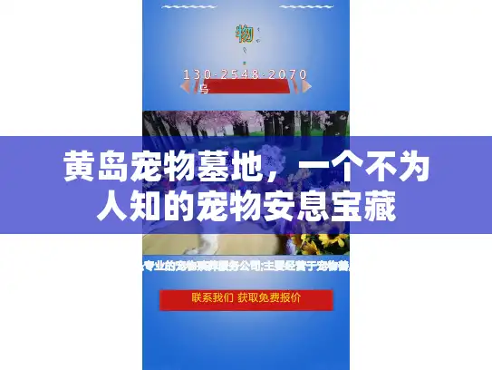 黄岛宠物墓地，一个不为人知的宠物安息宝藏