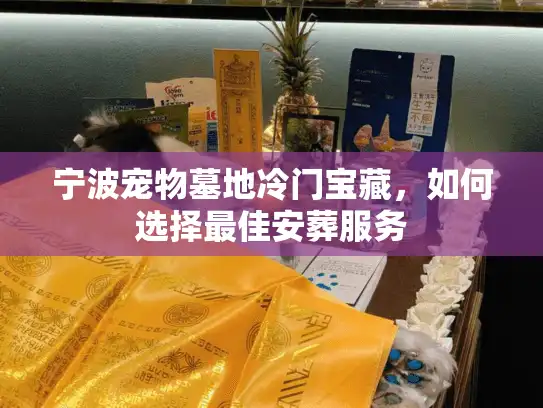 宁波宠物墓地冷门宝藏，如何选择最佳安葬服务