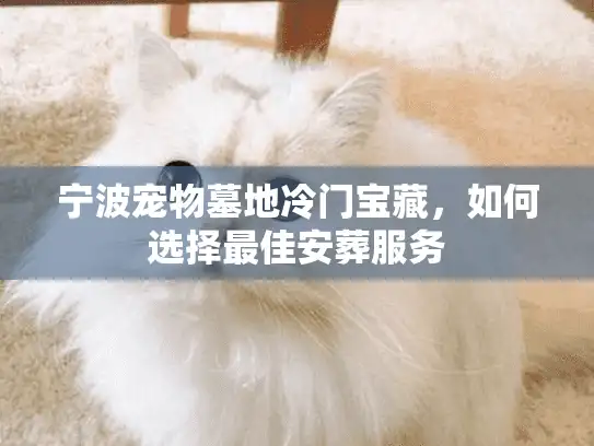 宁波宠物墓地冷门宝藏，如何选择最佳安葬服务