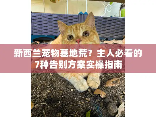 新西兰宠物墓地荒？主人必看的7种告别方案实操指南