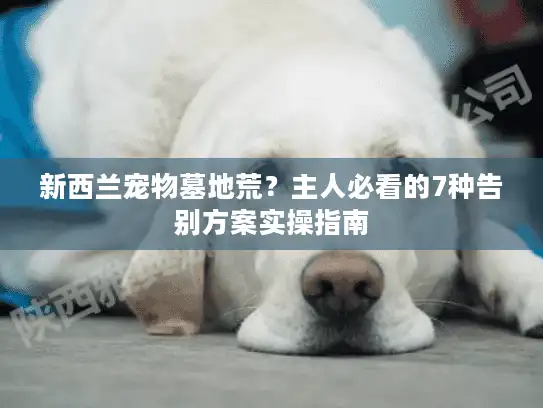 新西兰宠物墓地荒？主人必看的7种告别方案实操指南