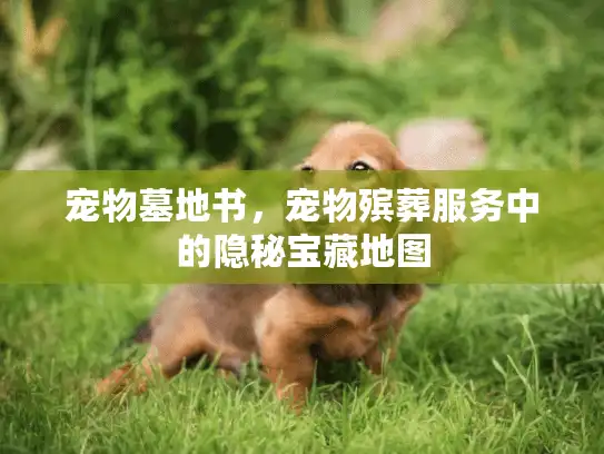 宠物墓地书，宠物殡葬服务中的隐秘宝藏地图