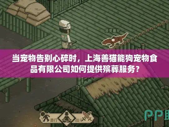 当宠物告别心碎时，上海善猫能狗宠物食品有限公司如何提供殡葬服务？