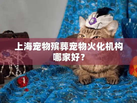 上海宠物殡葬宠物火化机构哪家好？