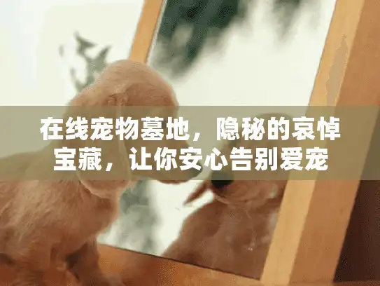 在线宠物墓地，隐秘的哀悼宝藏，让你安心告别爱宠