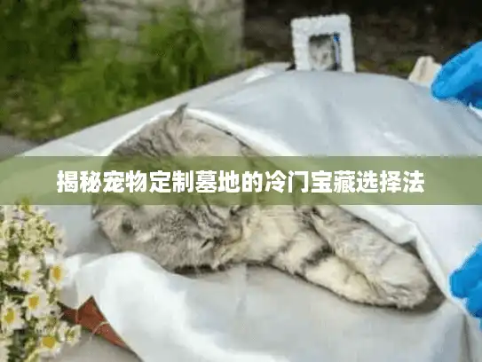 揭秘宠物定制墓地的冷门宝藏选择法