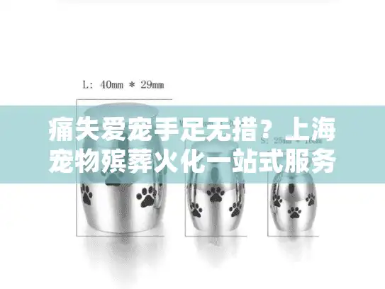 痛失爱宠手足无措？上海宠物殡葬火化一站式服务全解析