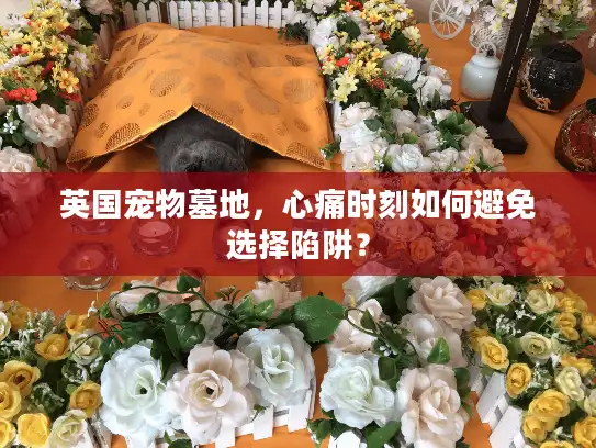 英国宠物墓地，心痛时刻如何避免选择陷阱？