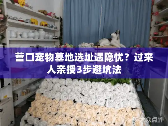 营口宠物墓地选址遇隐忧？过来人亲授3步避坑法