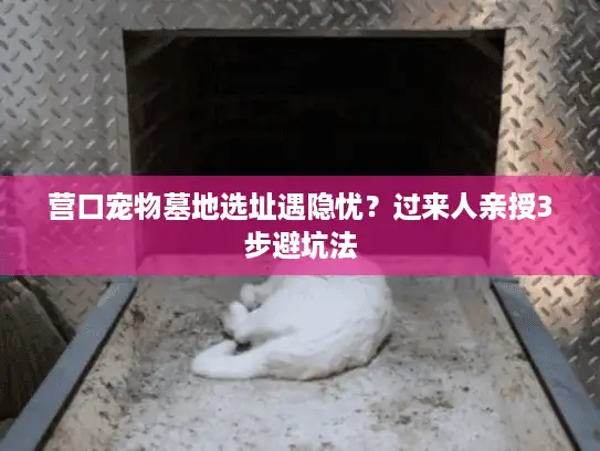 营口宠物墓地选址遇隐忧？过来人亲授3步避坑法