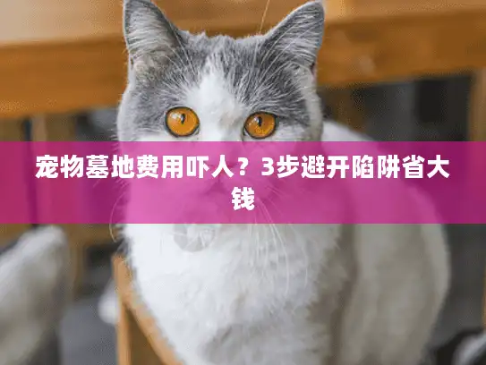 宠物墓地费用吓人？3步避开陷阱省大钱