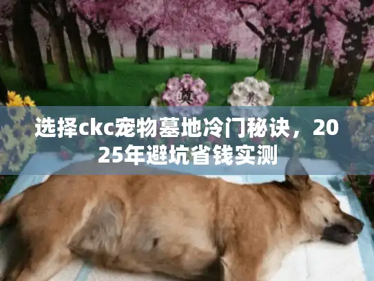 选择ckc宠物墓地冷门秘诀，2025年避坑省钱实测