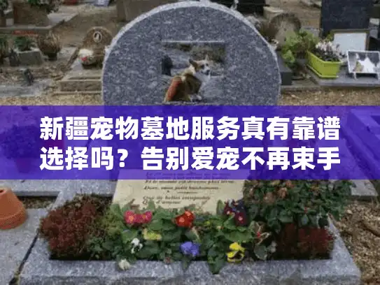 新疆宠物墓地服务真有靠谱选择吗？告别爱宠不再束手无策