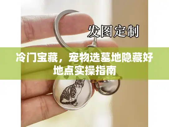 冷门宝藏，宠物选墓地隐藏好地点实操指南